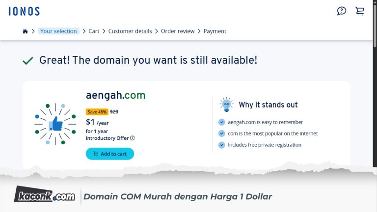 Domain COM Murah dengan Harga 1 Dollar